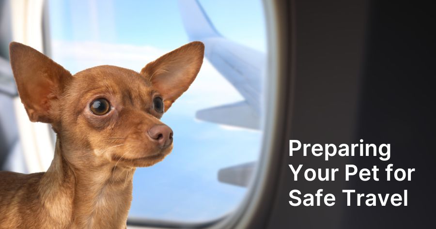Preparing Your Pet for Safe Travel